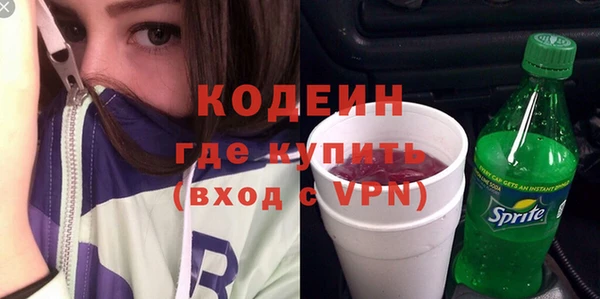 прущие грибы Гусиноозёрск