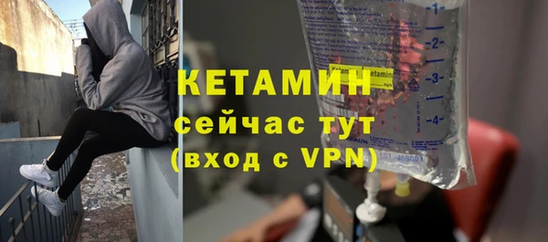 сатива Гусев