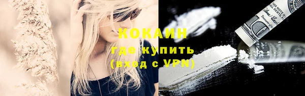 прущие грибы Гусиноозёрск
