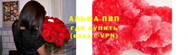 прущие грибы Гусиноозёрск