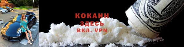 сатива Гусев