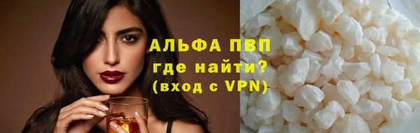 прущие грибы Гусиноозёрск