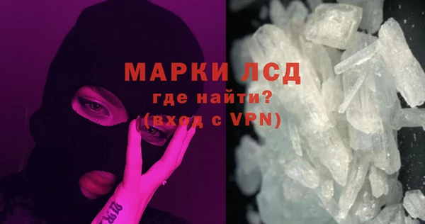 прущие грибы Гусиноозёрск