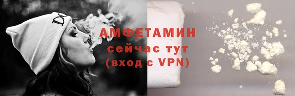 сатива Гусев