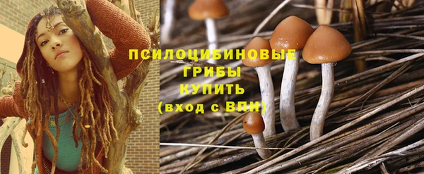 прущие грибы Гусиноозёрск