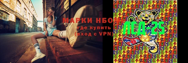 прущие грибы Гусиноозёрск