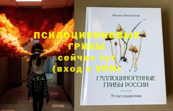 сатива Гусев