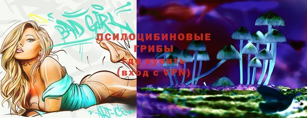 прущие грибы Гусиноозёрск