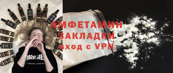 сатива Гусев