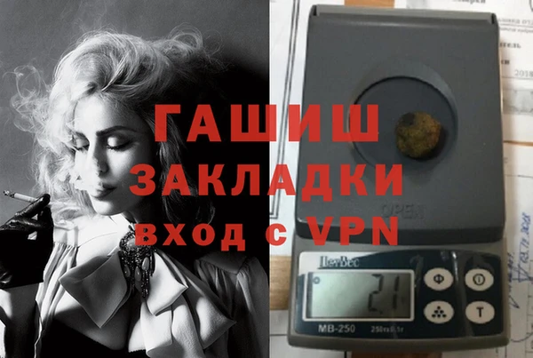 сатива Гусев