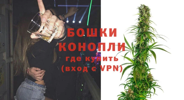 сатива Гусев