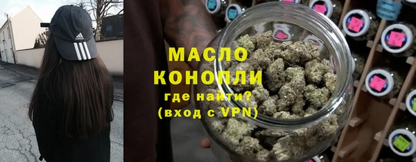 прущие грибы Гусиноозёрск