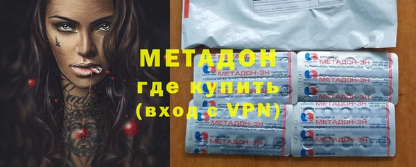 прущие грибы Гусиноозёрск