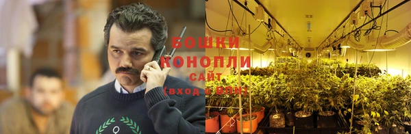 сатива Гусев