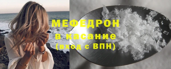 прущие грибы Гусиноозёрск