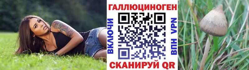 Купить где  Искитим  Псилоцибиновые грибы мухоморы 